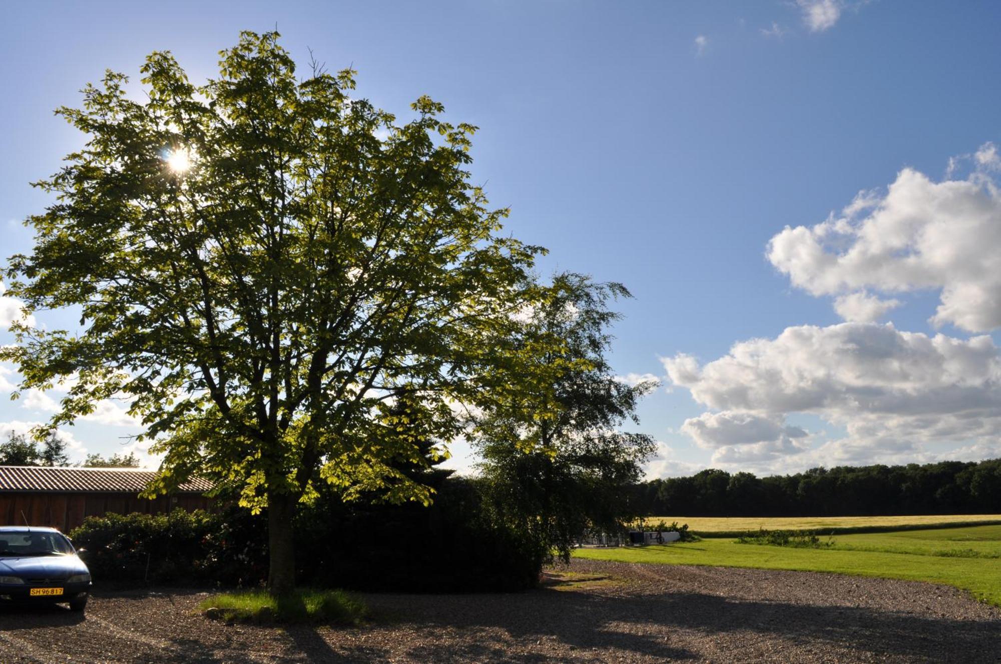 Koebenhovedskov Bed & Breakfast Rødding Kültér fotó