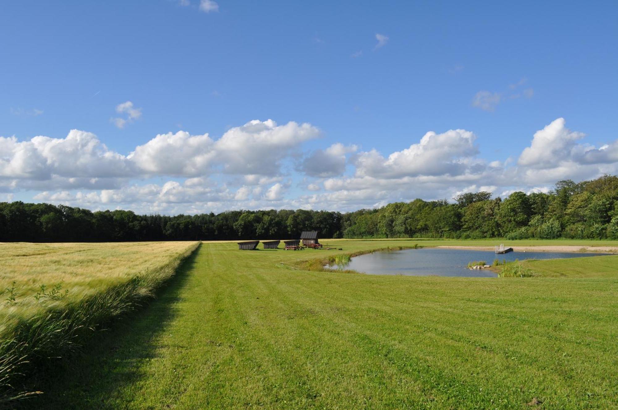 Koebenhovedskov Bed & Breakfast Rødding Kültér fotó